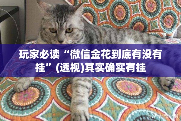 玩家必读“微信金花到底有没有挂”(透视)其实确实有挂