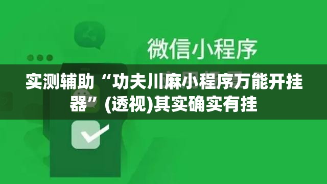 实测辅助“功夫川麻小程序万能开挂器”(透视)其实确实有挂