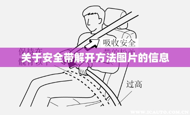 关于安全带解开方法图片的信息 关于安全带解开方法图片的信息