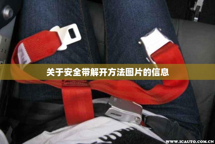 关于安全带解开方法图片的信息 关于安全带解开方法图片的信息