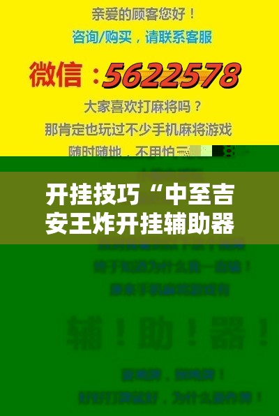 开挂技巧“中至吉安王炸开挂辅助器通用版	”细辅助教程分享
