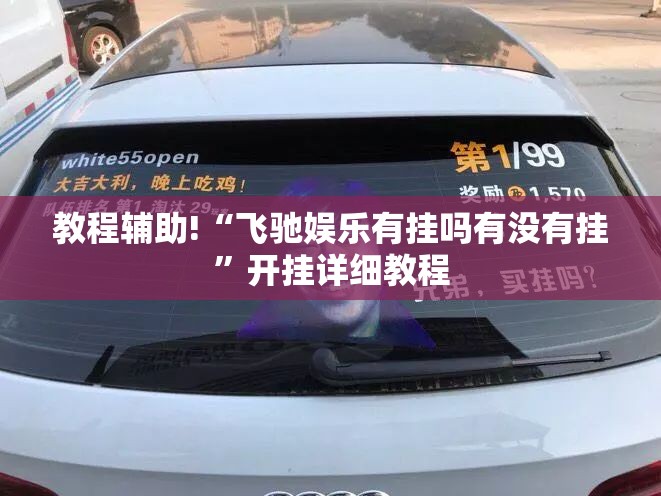 教程辅助!“飞驰娱乐有挂吗有没有挂”开挂详细教程