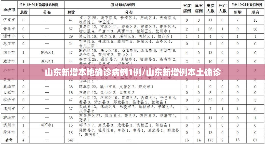 山东新增本地确诊病例1例/山东新增例本土确诊 山东新增本地确诊病例1例/山东新增例本土确诊