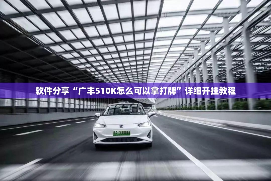 软件分享“广丰510K怎么可以拿打牌	”详细开挂教程