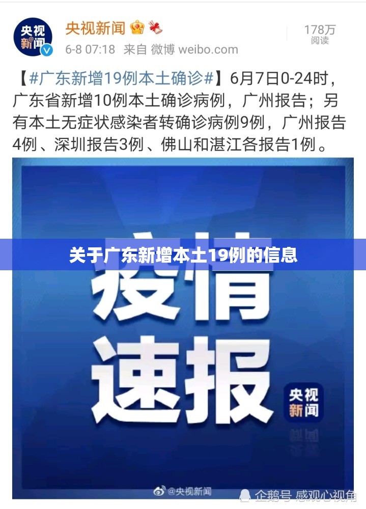 关于广东新增本土19例的信息