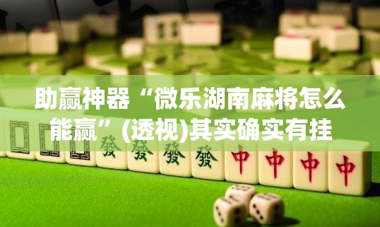 助赢神器“微乐湖南麻将怎么能赢”(透视)其实确实有挂