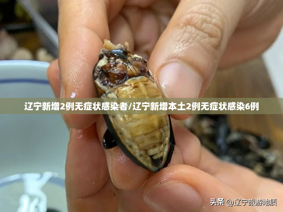 辽宁新增2例无症状感染者/辽宁新增本土2例无症状感染6例 辽宁新增2例无症状感染者/辽宁新增本土2例无症状感染6例