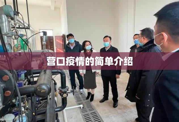 营口疫情的简单介绍