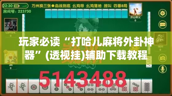 玩家必读“打哈儿麻将外卦神器”(透视挂)辅助下载教程