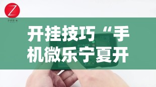 开挂技巧“手机微乐宁夏开挂辅助器通用版”科技辅助神器手机版