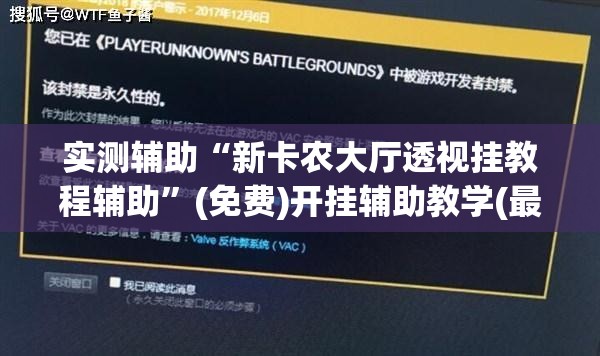 实测辅助“新卡农大厅透视挂教程辅助”(免费)开挂辅助教学(最新辅助开挂教程)