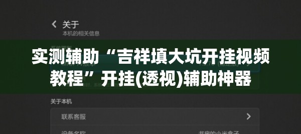 实测辅助“吉祥填大坑开挂视频教程”开挂(透视)辅助神器