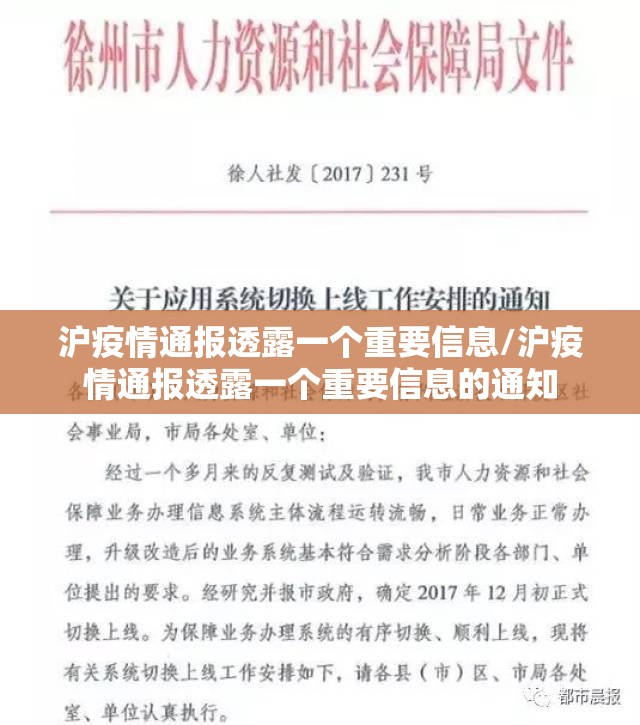 沪疫情通报透露一个重要信息/沪疫情通报透露一个重要信息的通知 沪疫情通报透露一个重要信息/沪疫情通报透露一个重要信息的通知