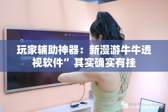 玩家辅助神器：新漫游牛牛透视软件”其实确实有挂