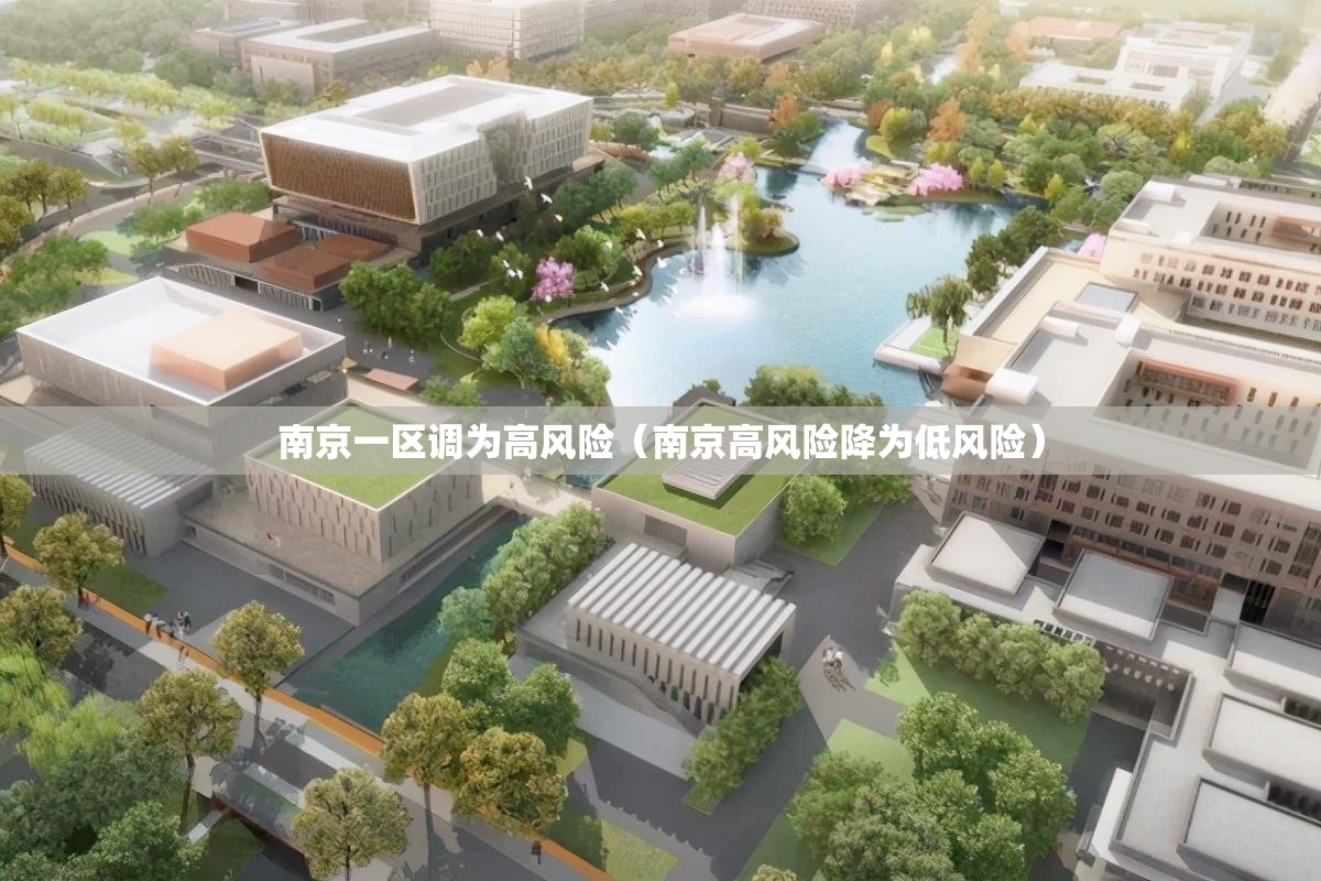 南京一区调为高风险（南京高风险降为低风险）