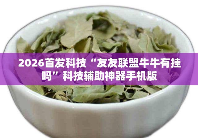 2026首发科技“友友联盟牛牛有挂吗	”科技辅助神器手机版