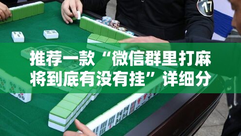 推荐一款“微信群里打麻将到底有没有挂	”详细分享装挂步骤