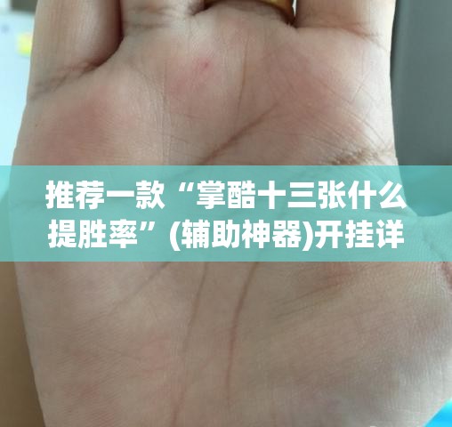 推荐一款“掌酷十三张什么提胜率”(辅助神器)开挂详细教程