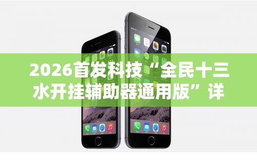 2026首发科技“全民十三水开挂辅助器通用版	”详细开挂教程