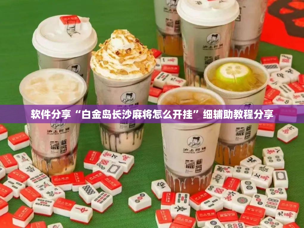 软件分享“白金岛长沙麻将怎么开挂”细辅助教程分享