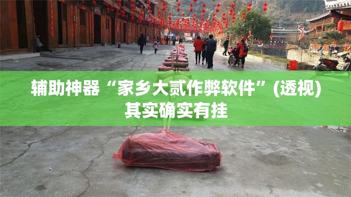 辅助神器“家乡大贰作弊软件”(透视)其实确实有挂