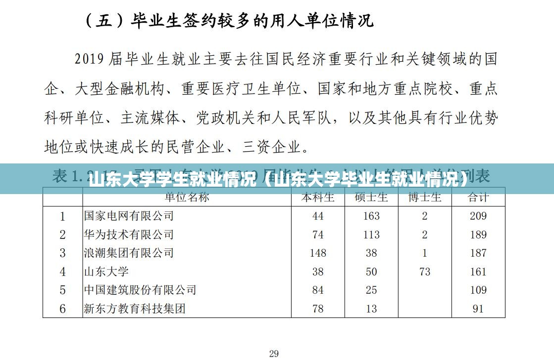 山东大学学生就业情况（山东大学毕业生就业情况）