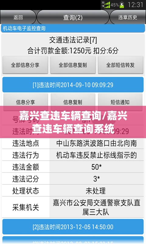 嘉兴查违车辆查询/嘉兴查违车辆查询系统