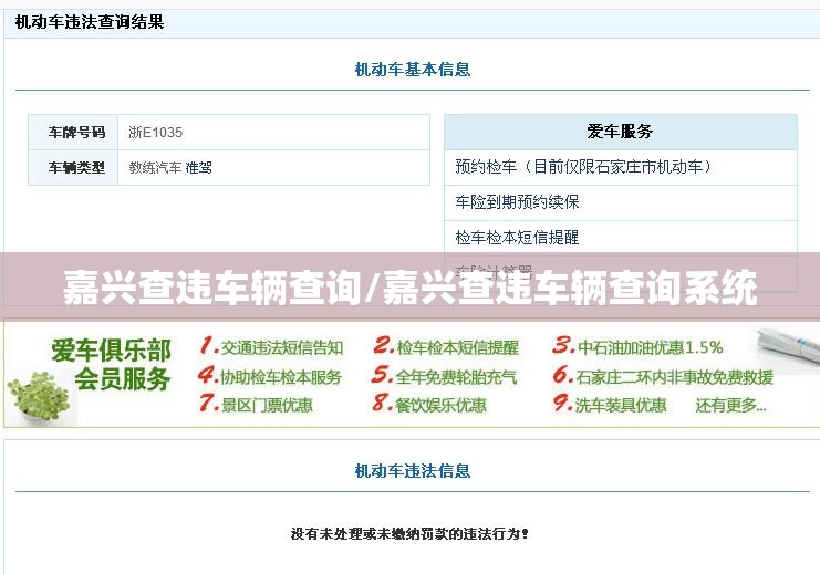 嘉兴查违车辆查询/嘉兴查违车辆查询系统