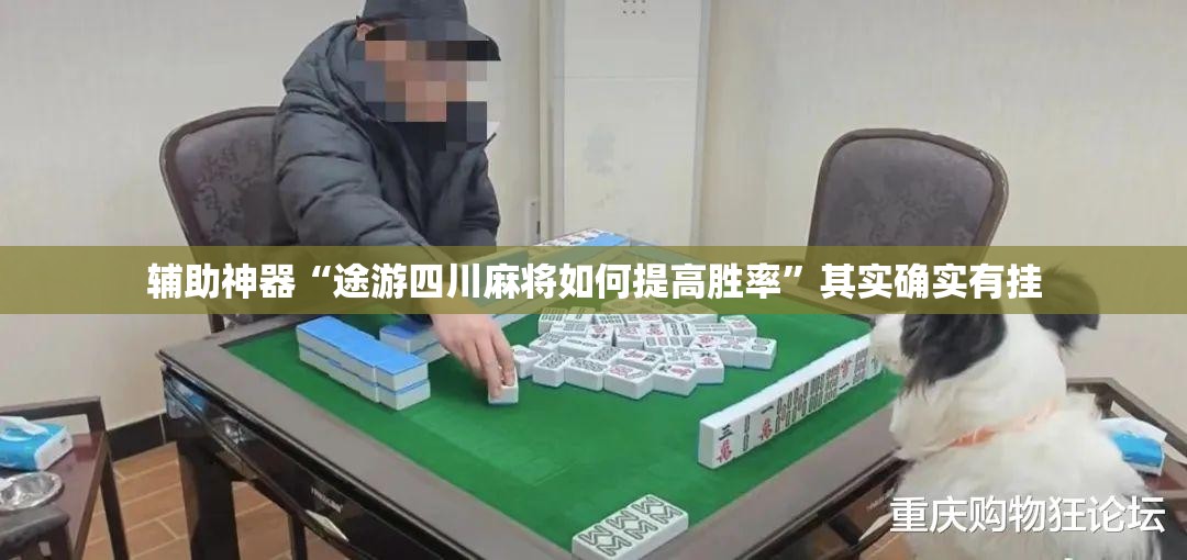辅助神器“途游四川麻将如何提高胜率	”其实确实有挂