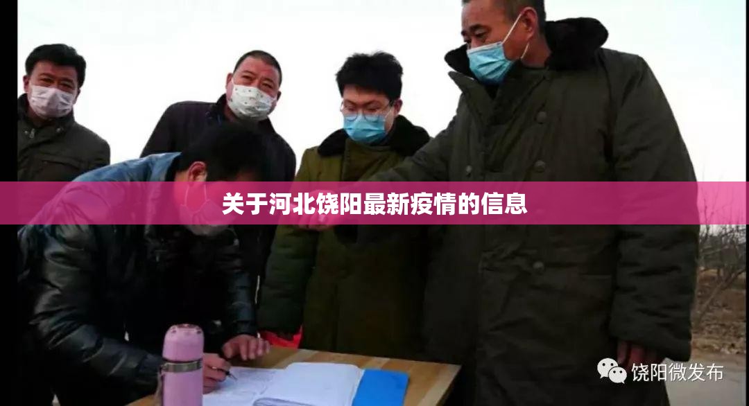 关于河北饶阳最新疫情的信息 关于河北饶阳最新疫情的信息