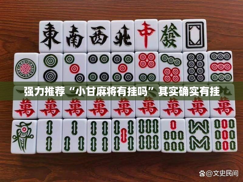 强力推荐“小甘麻将有挂吗”其实确实有挂
