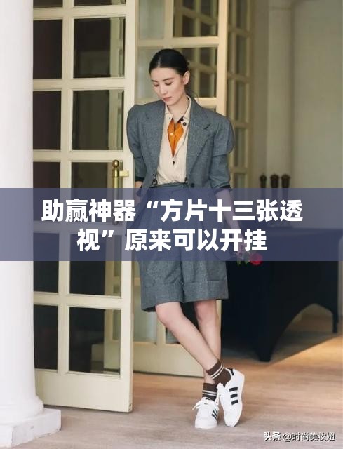 助赢神器“方片十三张透视”原来可以开挂