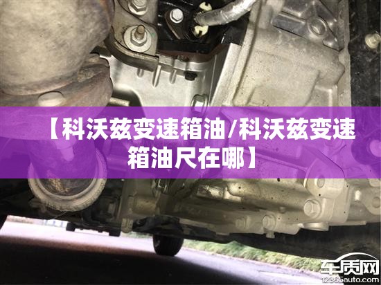 【科沃兹变速箱油/科沃兹变速箱油尺在哪】