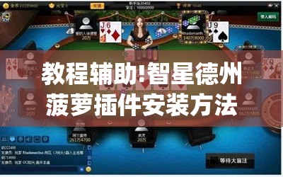 教程辅助!智星德州菠萝插件安装方法	”(透视)其实确实有挂