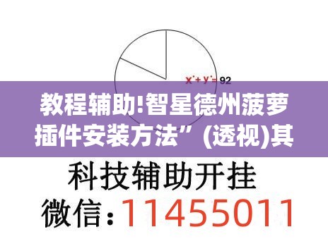 教程辅助!智星德州菠萝插件安装方法”(透视)其实确实有挂
