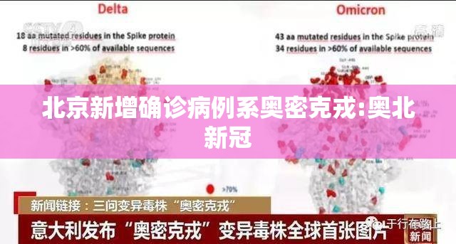 北京新增确诊病例系奥密克戎:奥北新冠