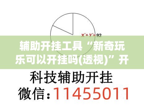 辅助开挂工具“新奇玩乐可以开挂吗(透视)	”开挂辅助脚本+详细开挂安装教程