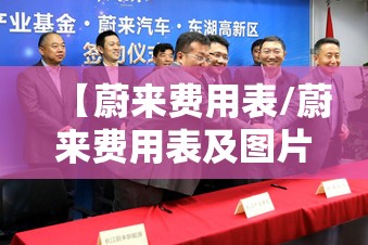 【蔚来费用表/蔚来费用表及图片】