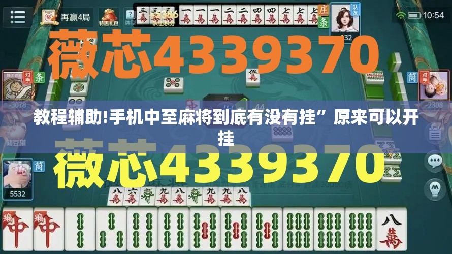 教程辅助!手机中至麻将到底有没有挂	”原来可以开挂