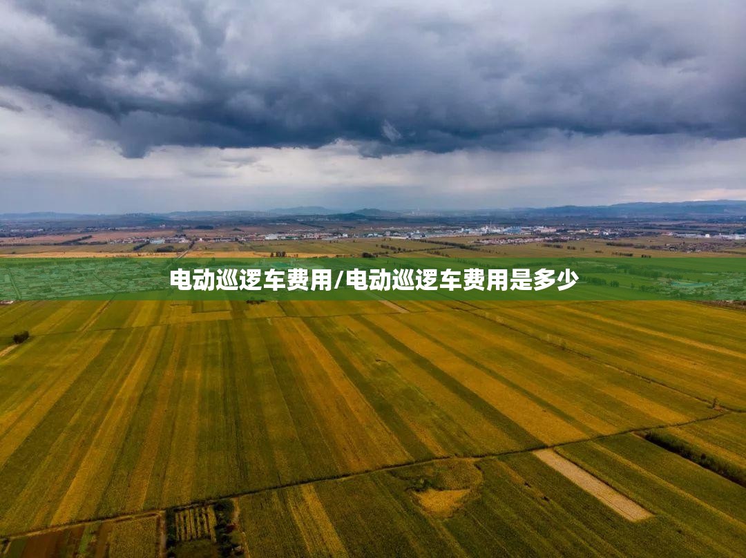 电动巡逻车费用/电动巡逻车费用是多少