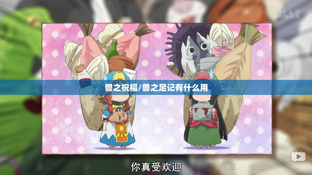 兽之祝福/兽之足记有什么用 兽之祝福/兽之足记有什么用