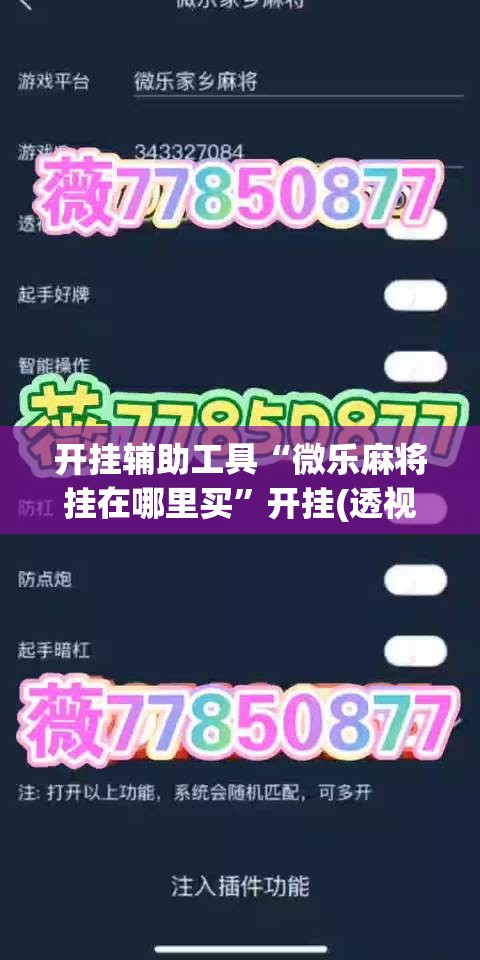 开挂辅助工具“微乐麻将挂在哪里买	”开挂(透视)辅助神器