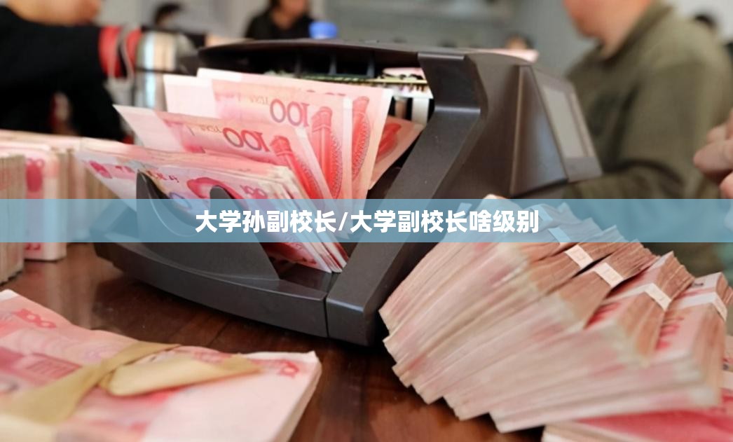 大学孙副校长/大学副校长啥级别 大学孙副校长/大学副校长啥级别