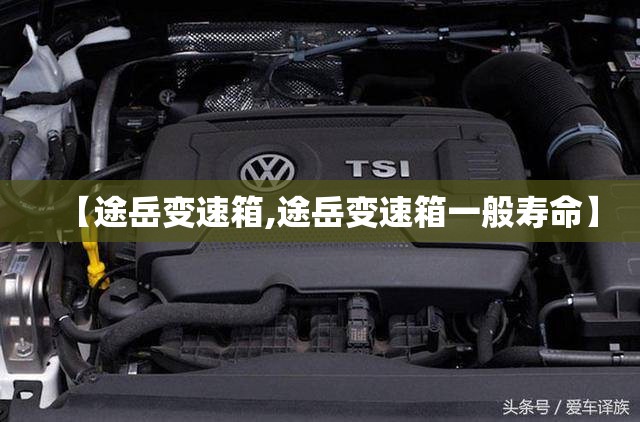 【途岳变速箱,途岳变速箱一般寿命】