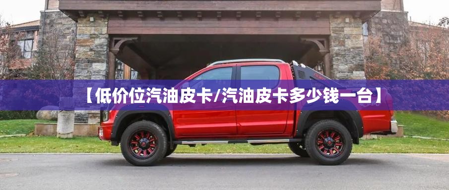【低价位汽油皮卡/汽油皮卡多少钱一台】