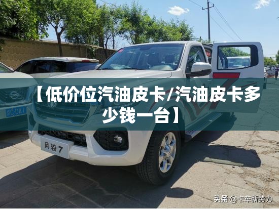 【低价位汽油皮卡/汽油皮卡多少钱一台】