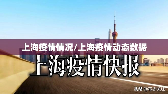 上海疫情情况/上海疫情动态数据