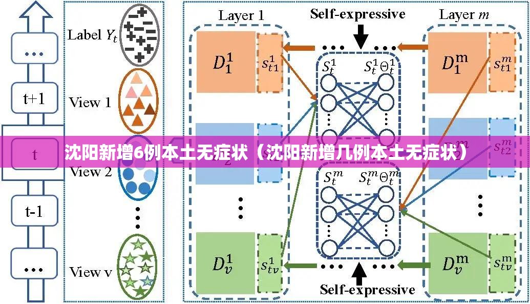 沈阳新增6例本土无症状(沈阳新增几例本土无症状) 沈阳新增6例本土无症状(沈阳新增几例本土无症状)