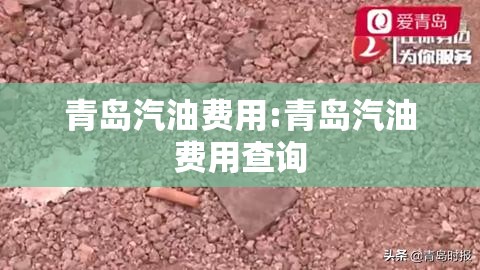青岛汽油费用:青岛汽油费用查询 青岛汽油费用:青岛汽油费用查询