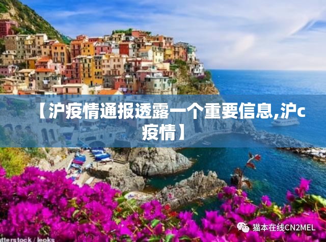 【沪疫情通报透露一个重要信息,沪c疫情】